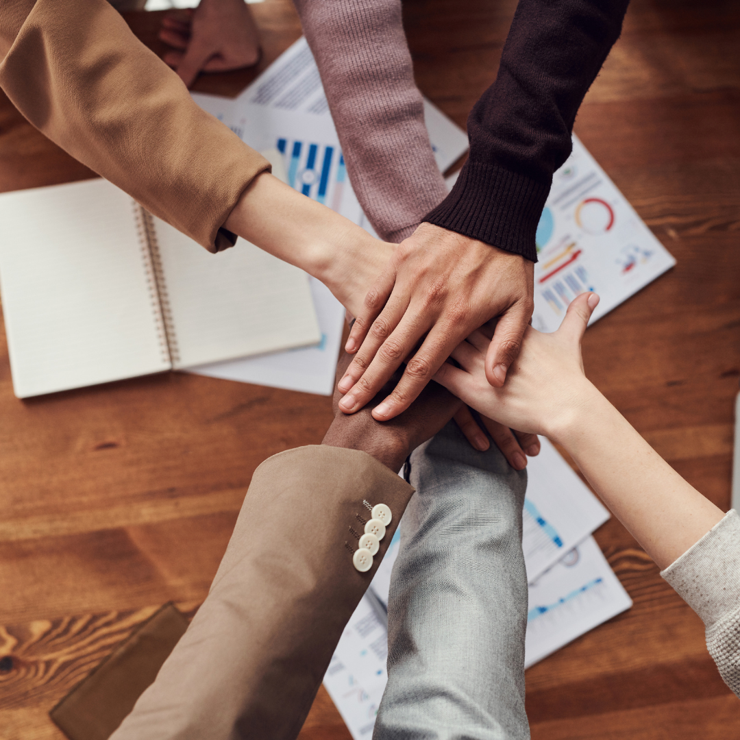 Lead High-Performing Teams with Confidence and Clarity: Part 2 – Building Team Cohesion