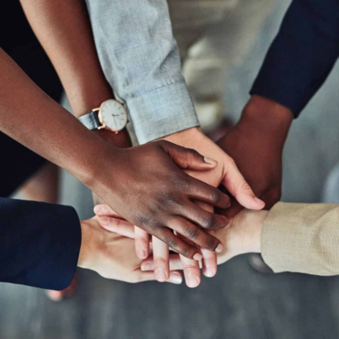 Empowering Leadership for Organisational Growth: Part 3 – Build and Support Teams