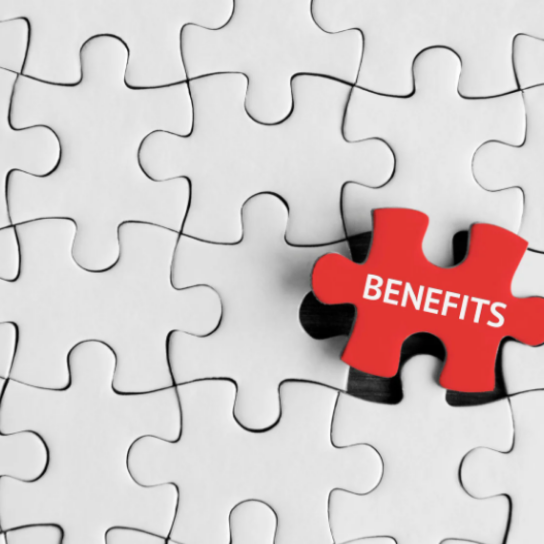 Strategic Program Benefits Management: Part 2 – Executing Benefit Delivery Strategies